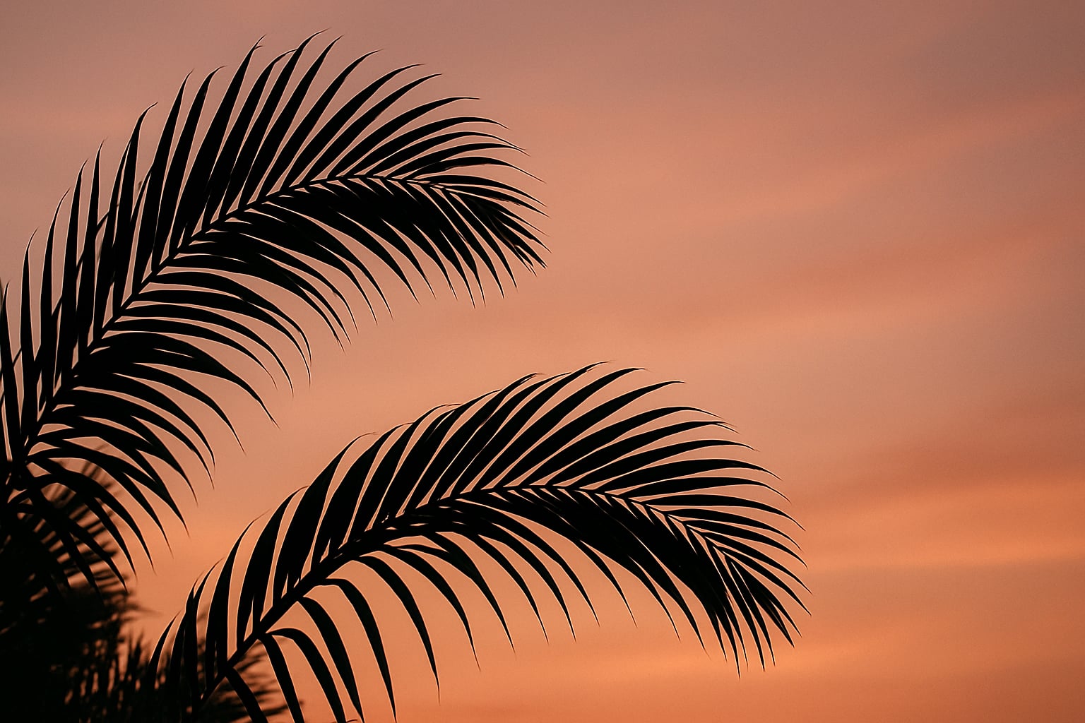 Advantages of Living in Condos in Downtown Miami